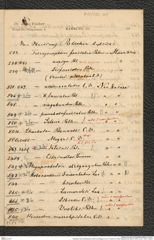 Nachlass Franz Steindachner, Brief und Beilage vonJ.G. Fischer an Franz Steindachner (08.03.1878), Inv.Nr. 132.01, Seite 3